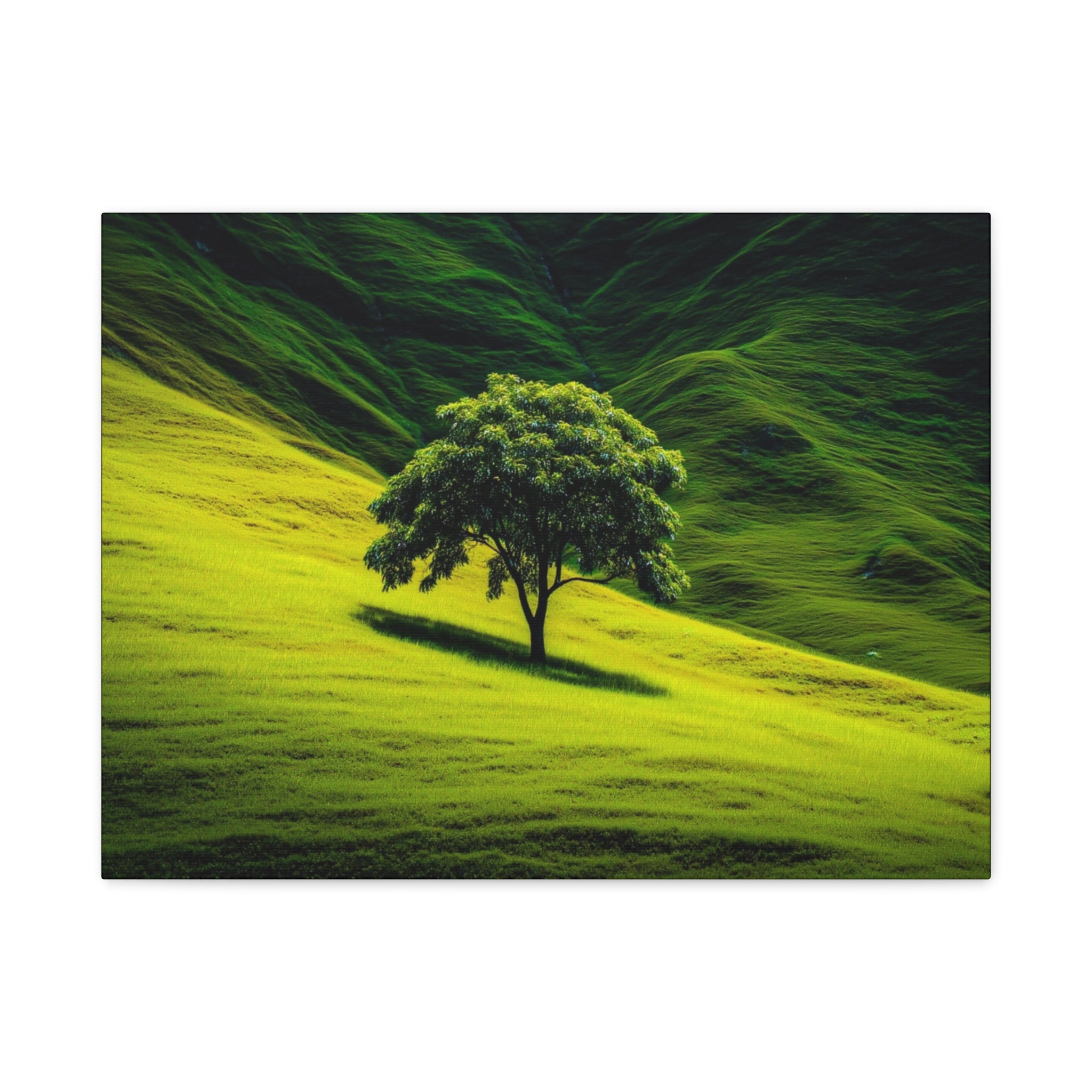 Canvas Lone Tree Landscape  | Matte Stretched Wall Art