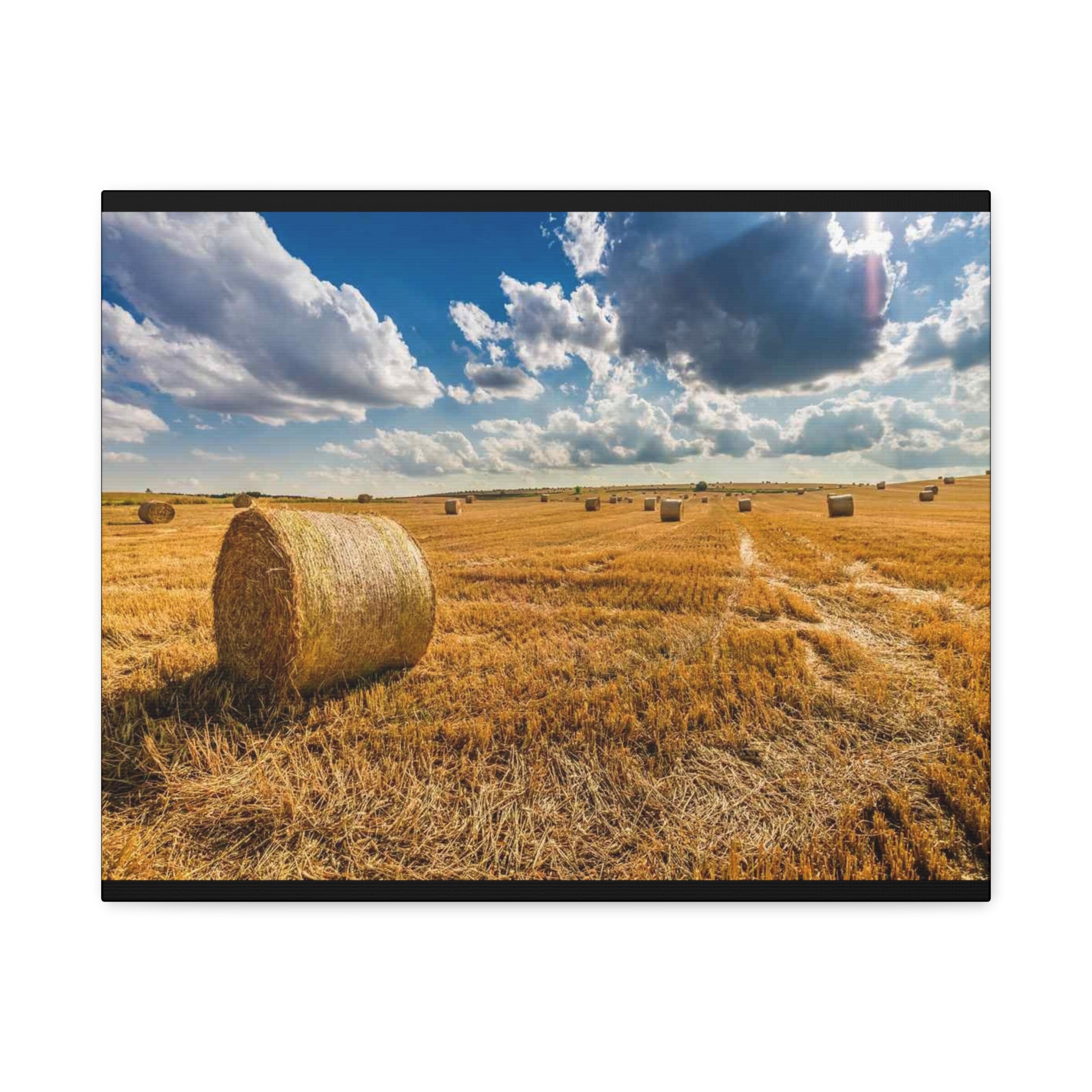 Canvas Hay Bale Field