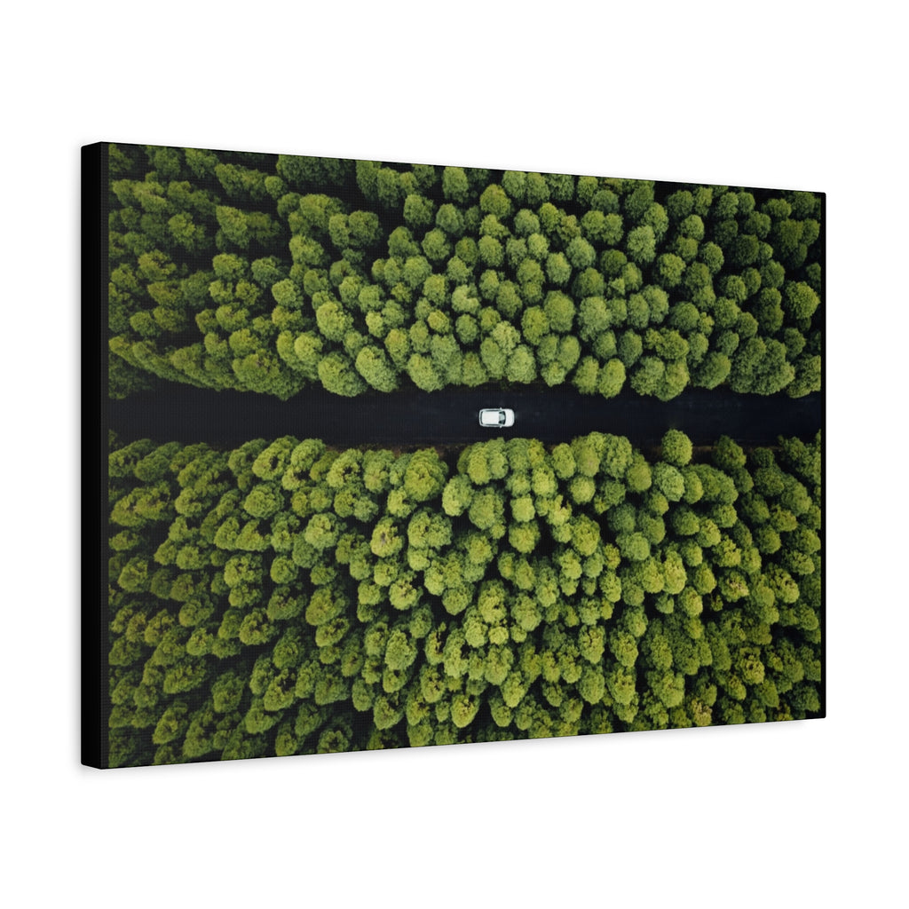 Canvas Aerial Forest Road
