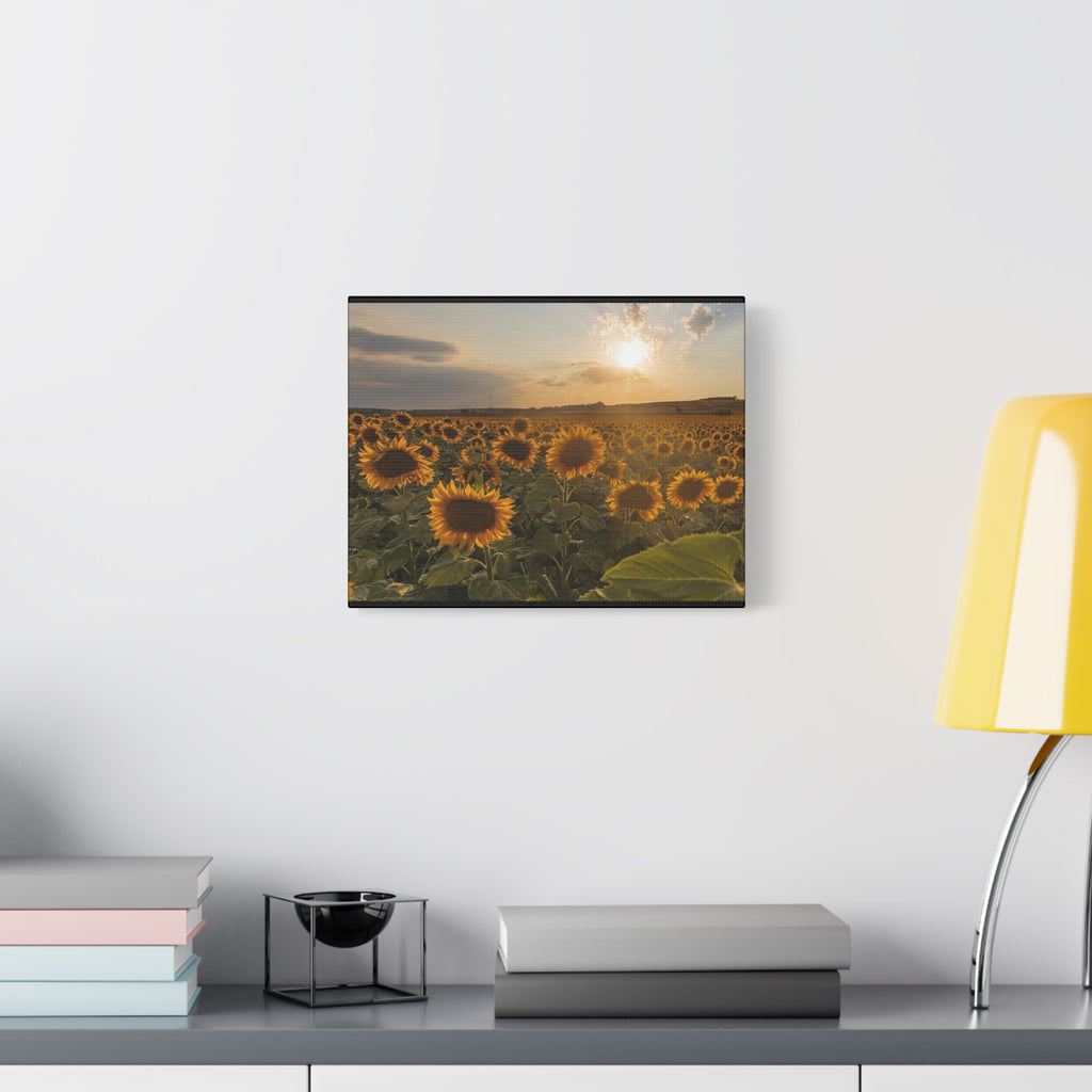 Canvas Sunflower Field at Sunset
