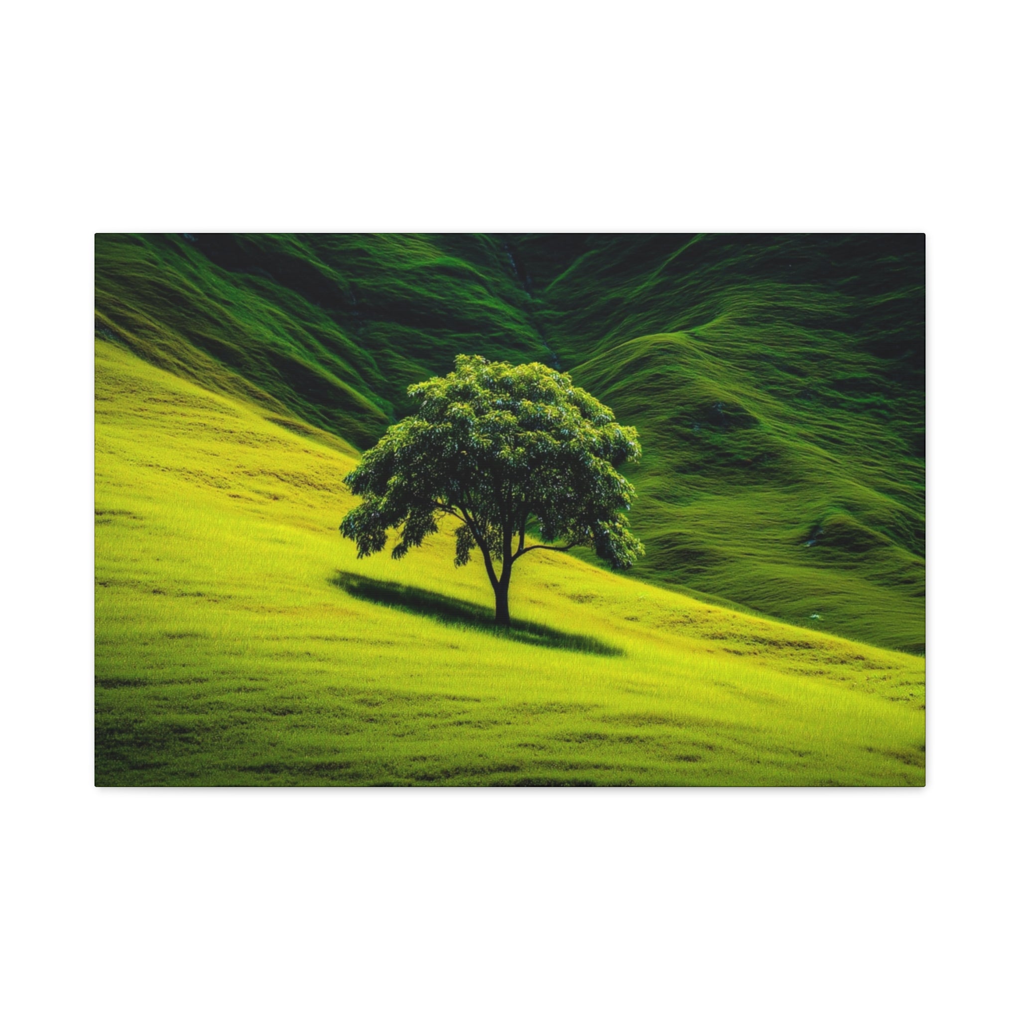 Canvas Lone Tree Landscape  | Matte Stretched Wall Art