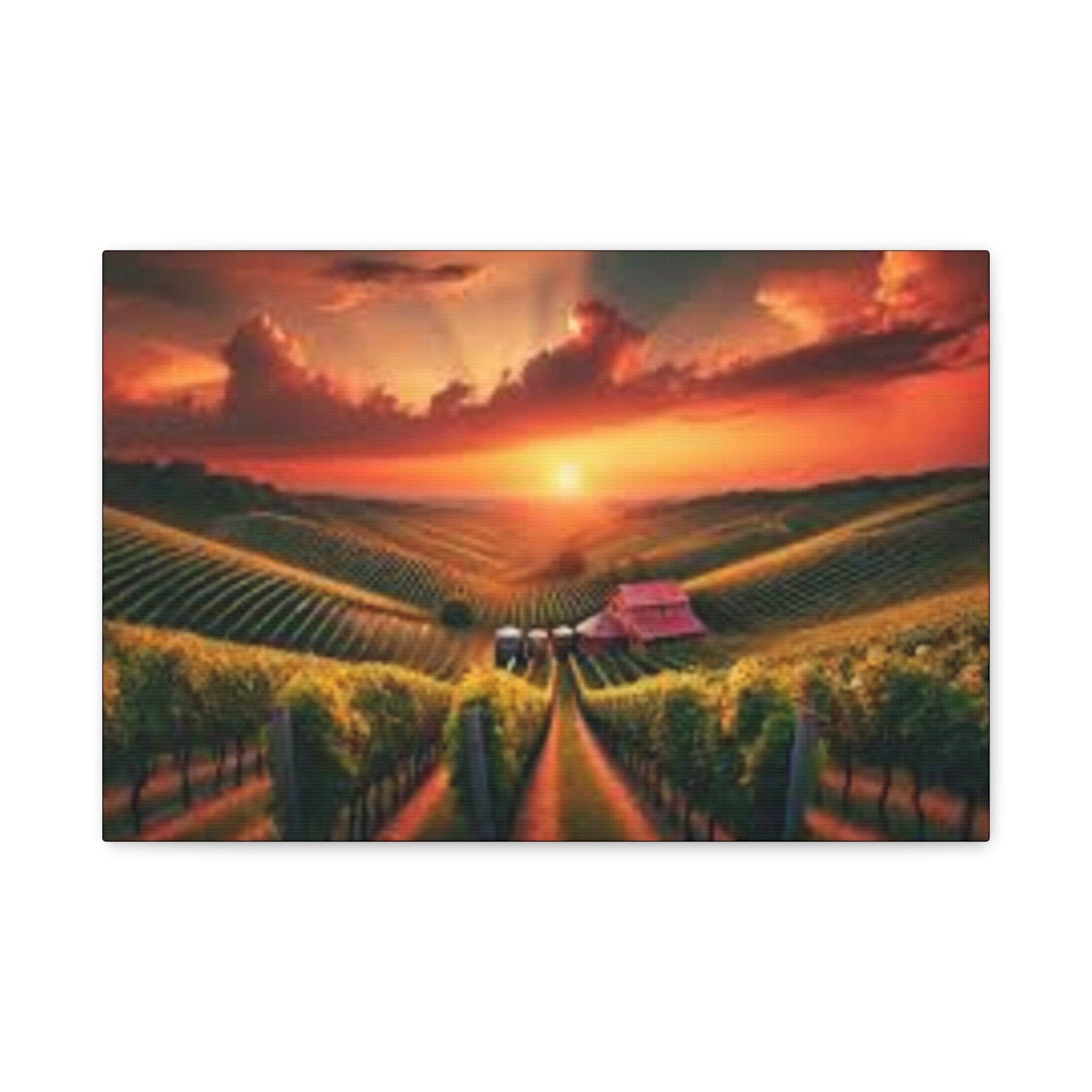 Canvas Sunset Vineyard Landscape Matte