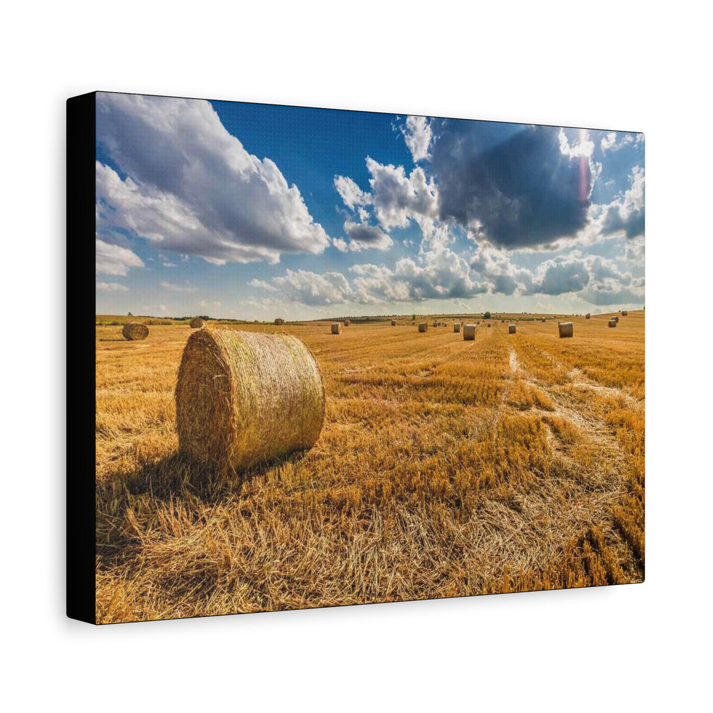 Canvas Hay Bale Field