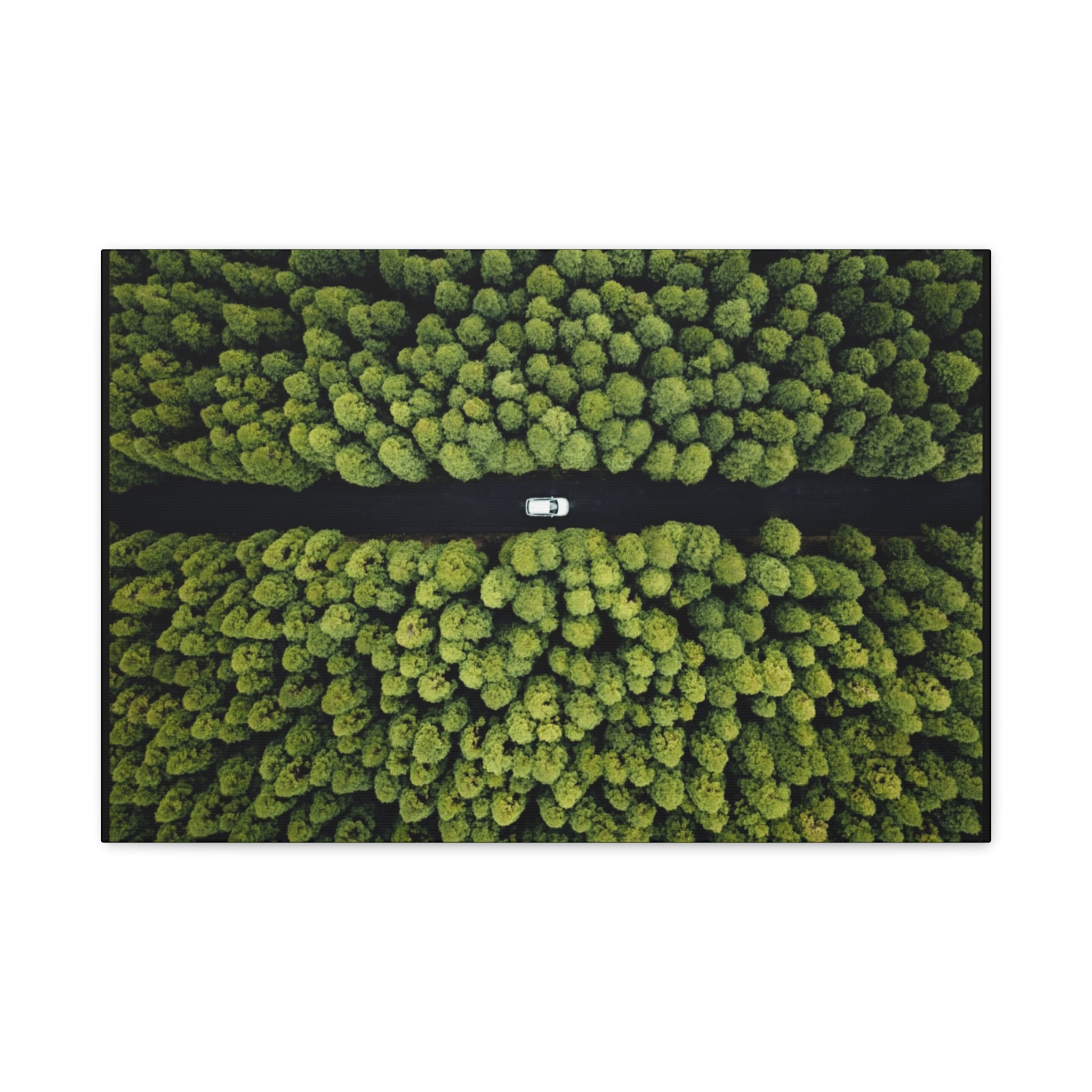 Canvas Aerial Forest Road
