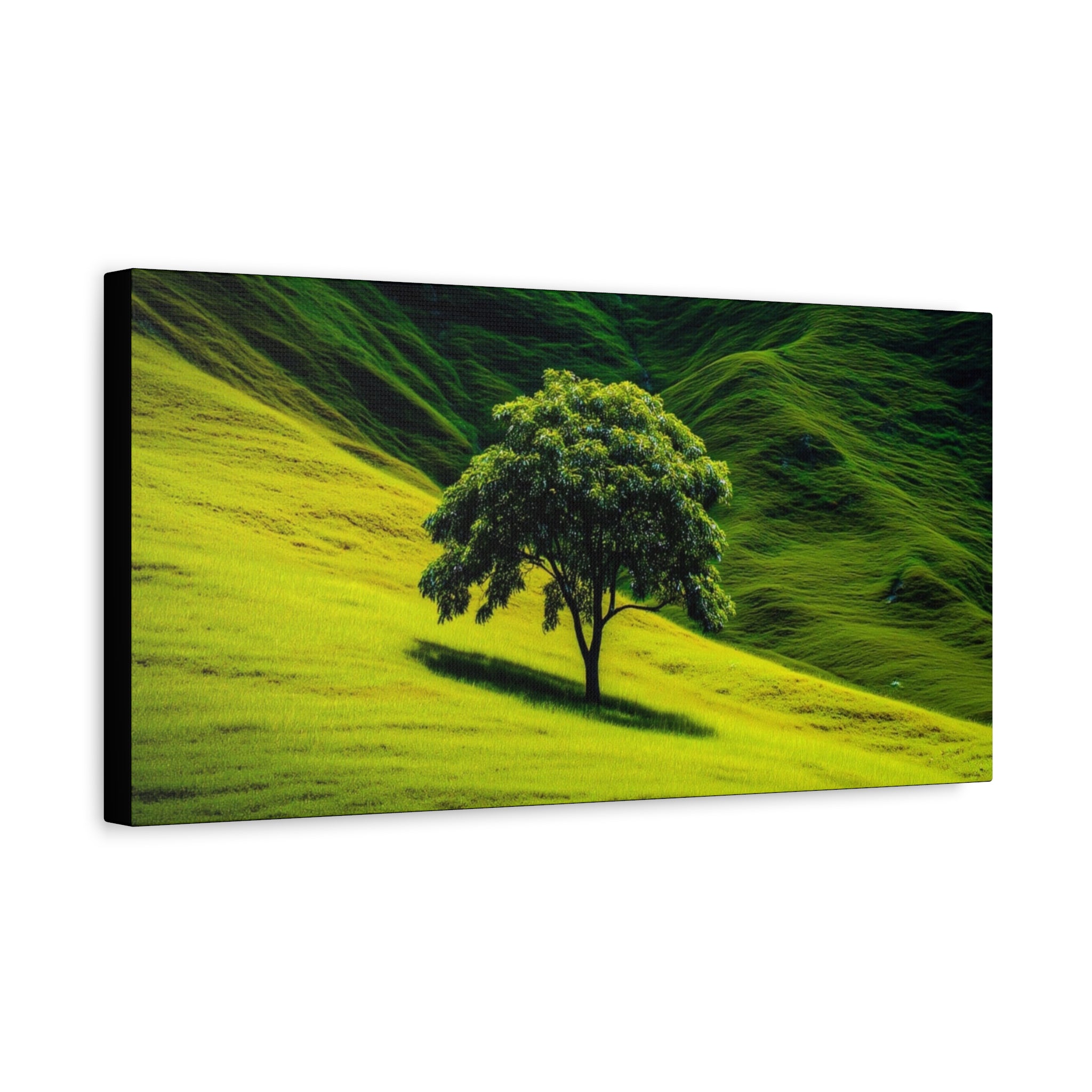 Canvas Lone Tree Landscape  | Matte Stretched Wall Art