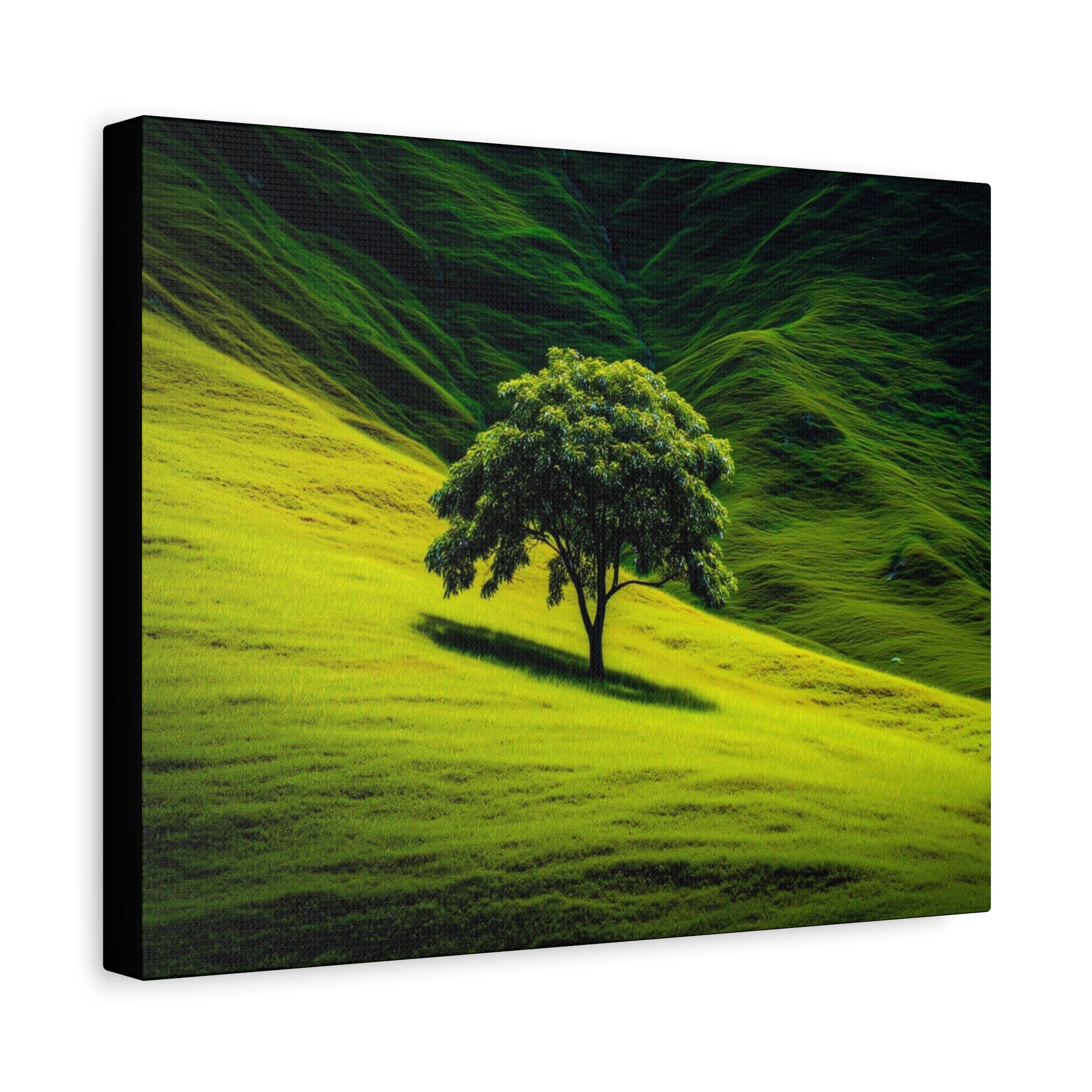Canvas Lone Tree Landscape  | Matte Stretched Wall Art