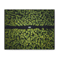 Canvas Aerial Forest Road