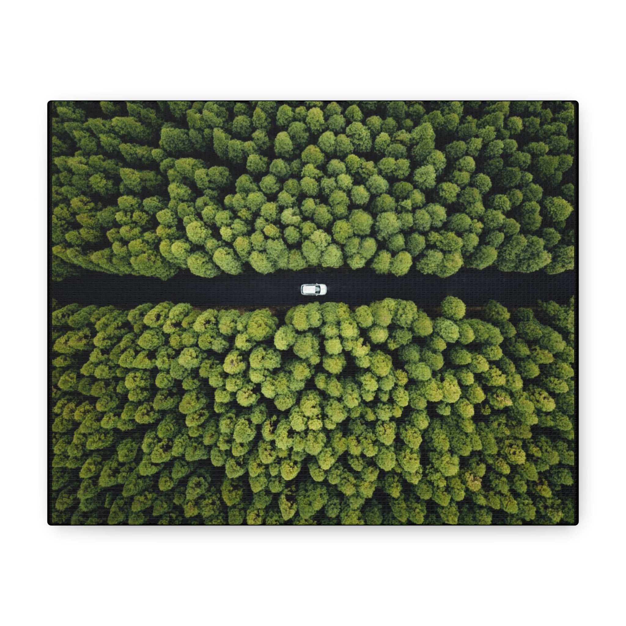 Canvas Aerial Forest Road