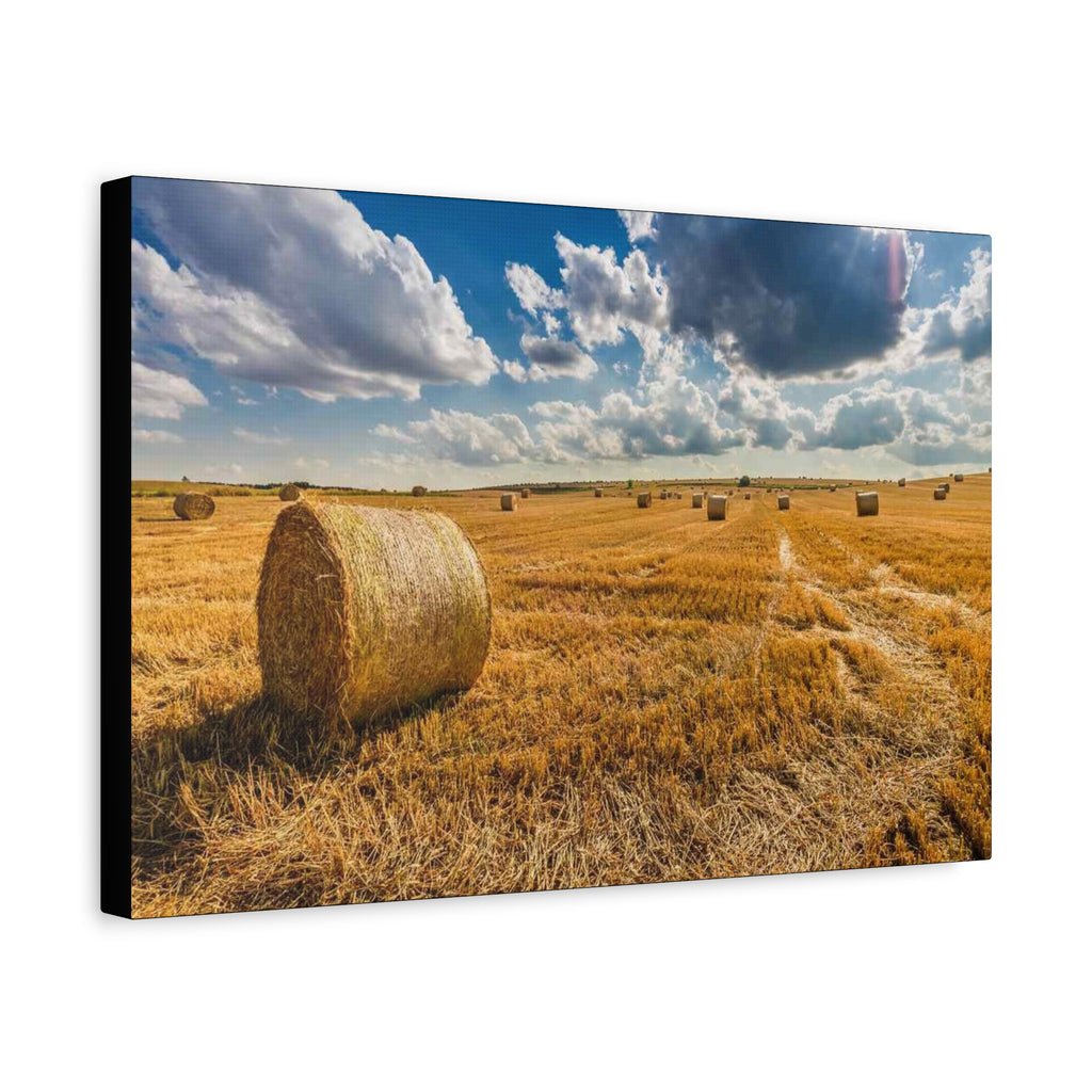 Canvas Hay Bale Field