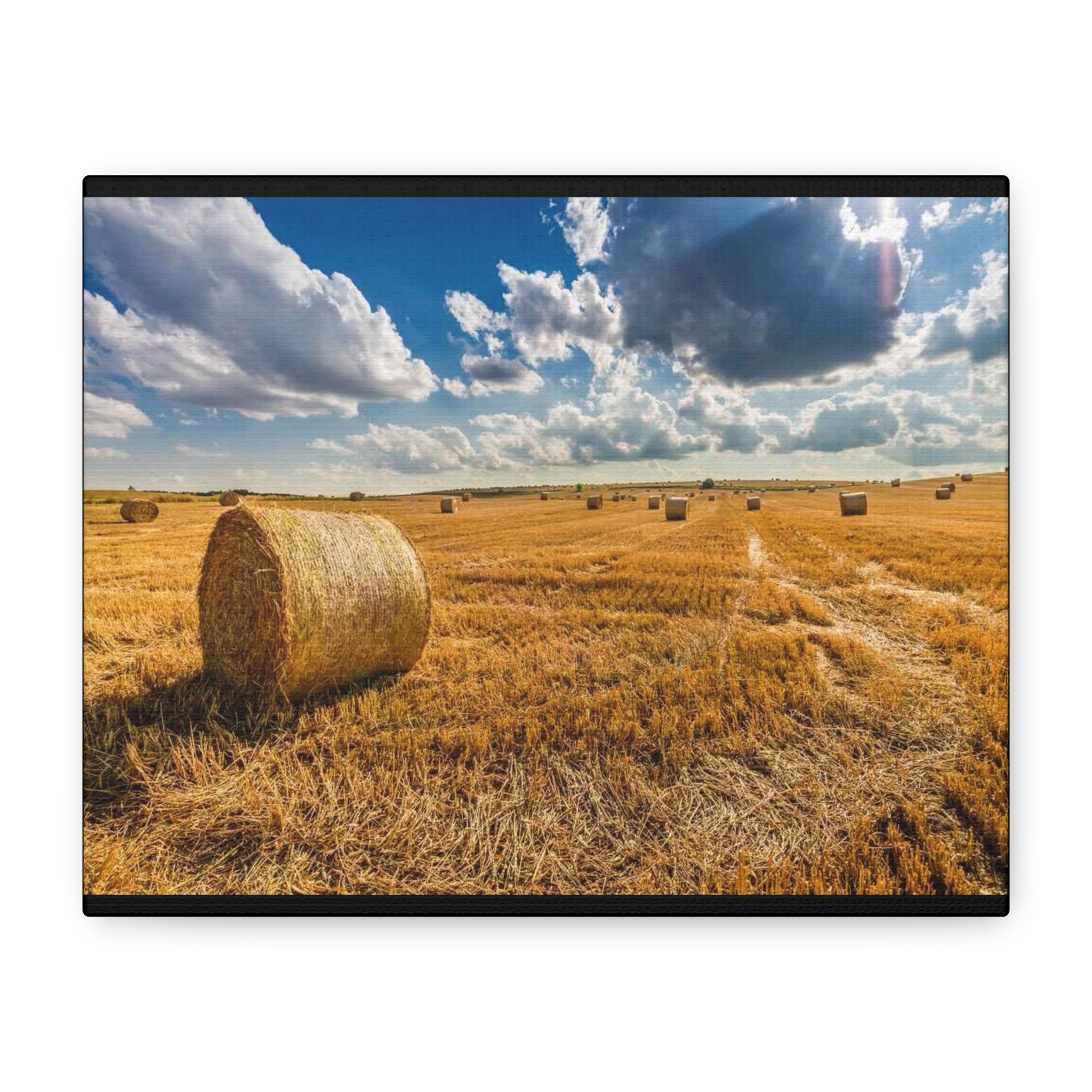 Canvas Hay Bale Field