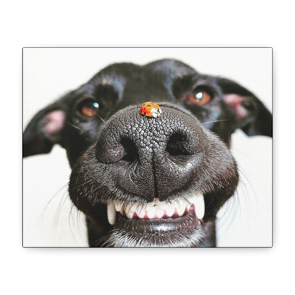 Canvas Smiling Black Dog Nose with Ladybug