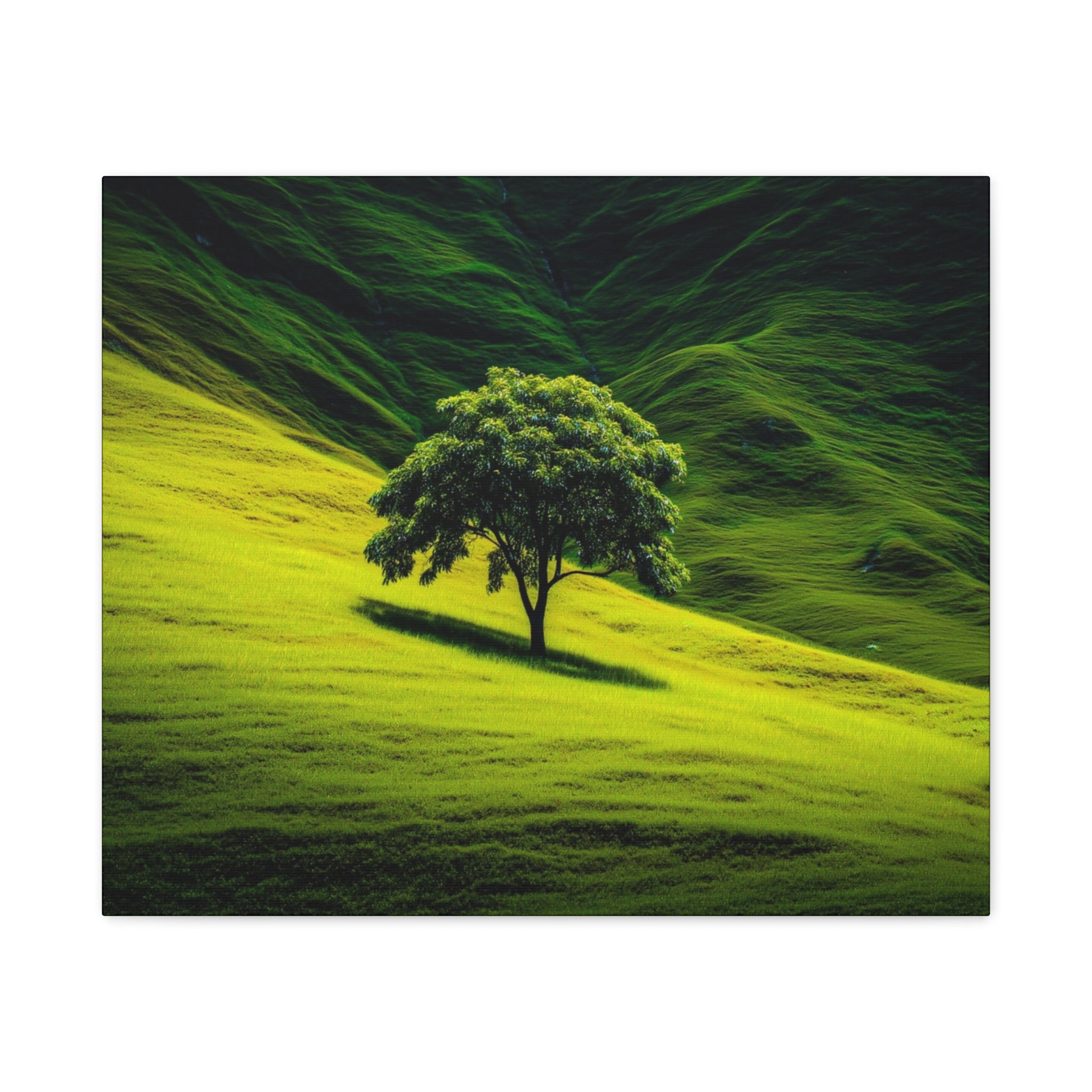 Canvas Lone Tree Landscape  | Matte Stretched Wall Art