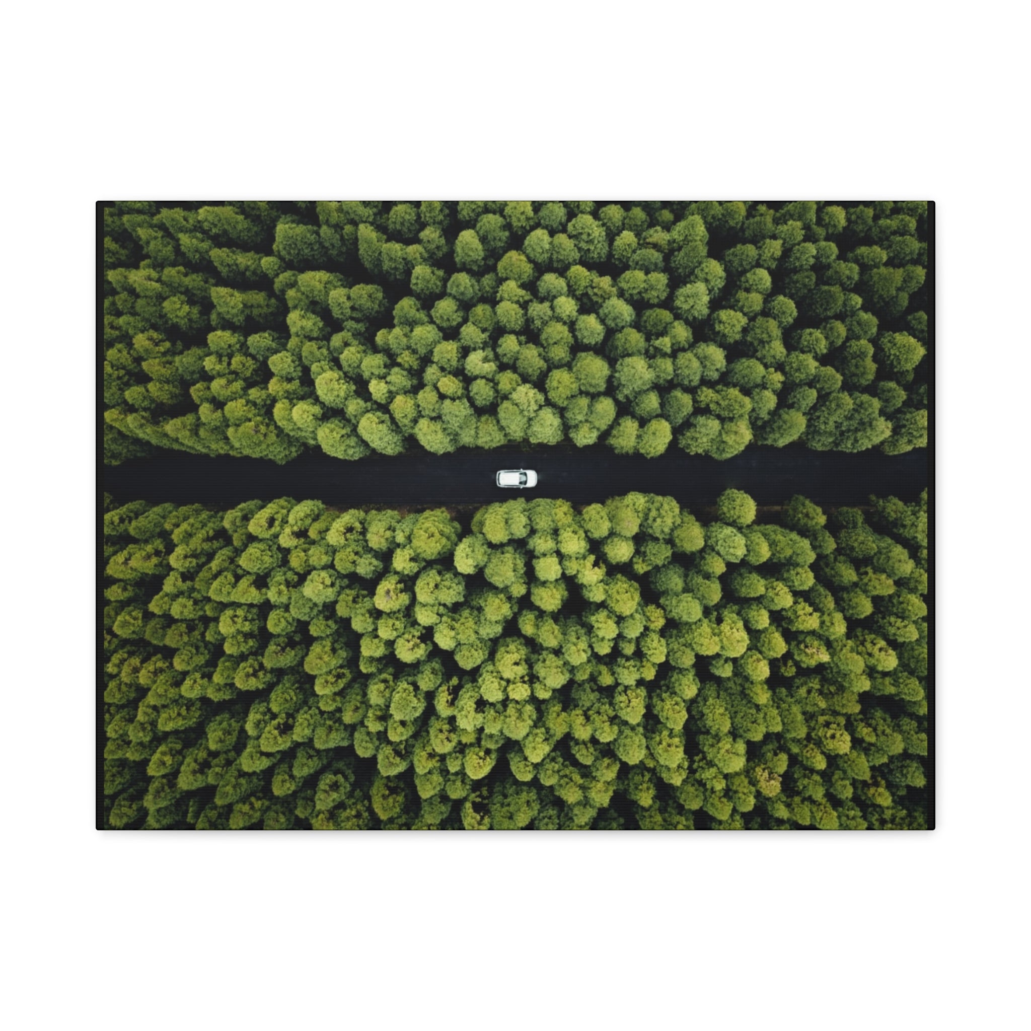 Canvas Aerial Forest Road