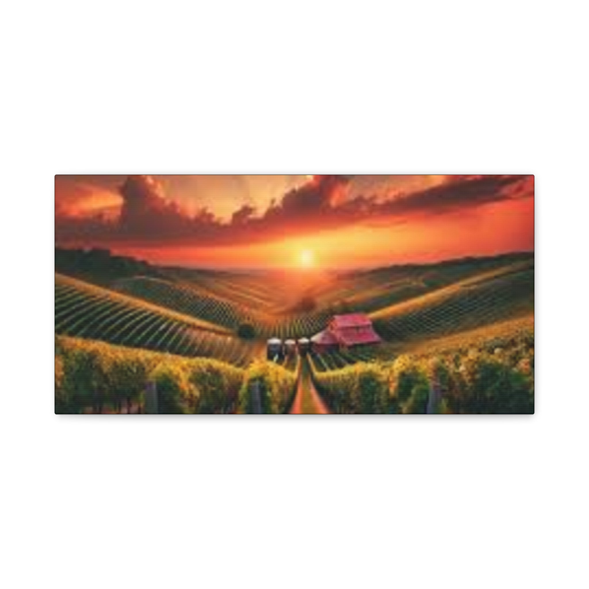 Canvas Sunset Vineyard Landscape Matte