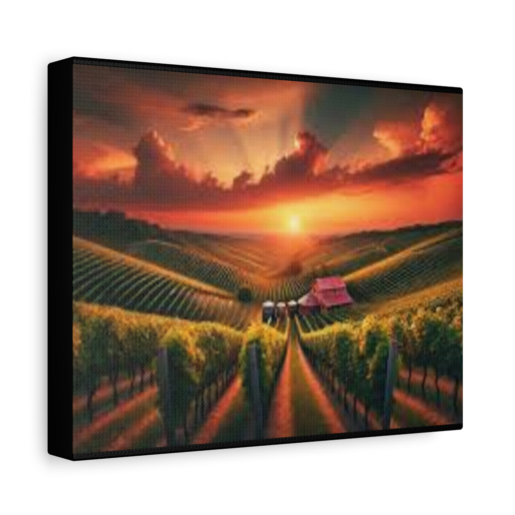 Canvas Sunset Vineyard Landscape Matte