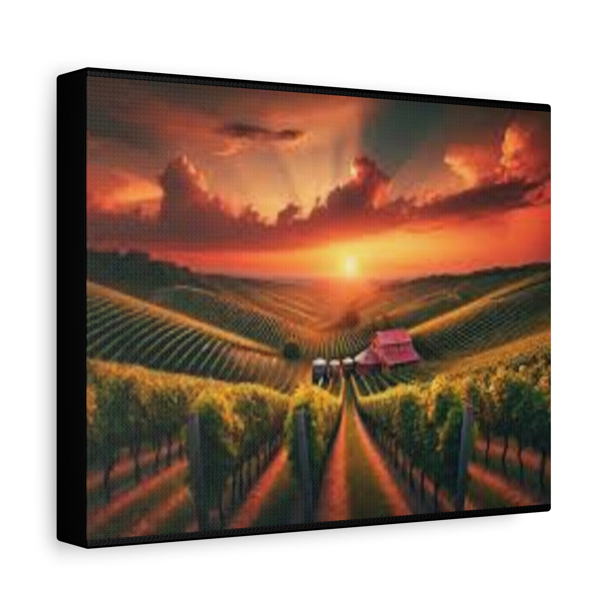 Canvas Sunset Vineyard Landscape Matte