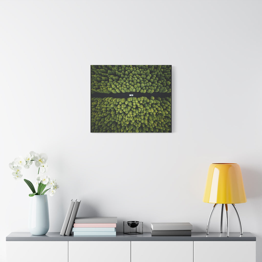 Canvas Aerial Forest Road
