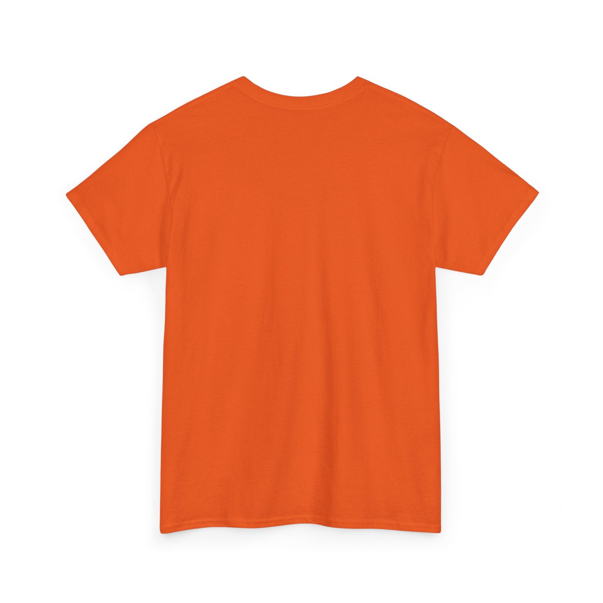 Mother Like No Other T-Shirt | Motherhood Tee, Mom Appreciation