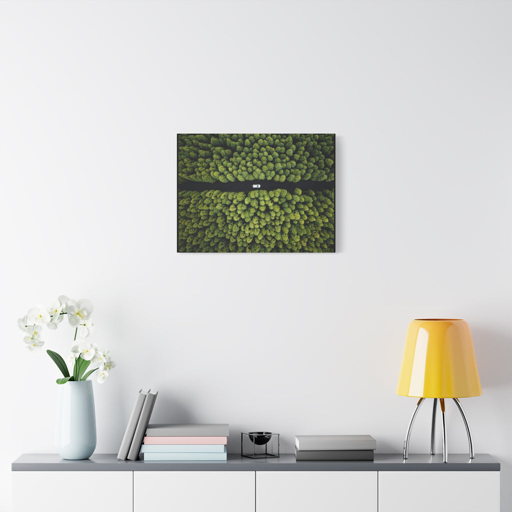Canvas Aerial Forest Road
