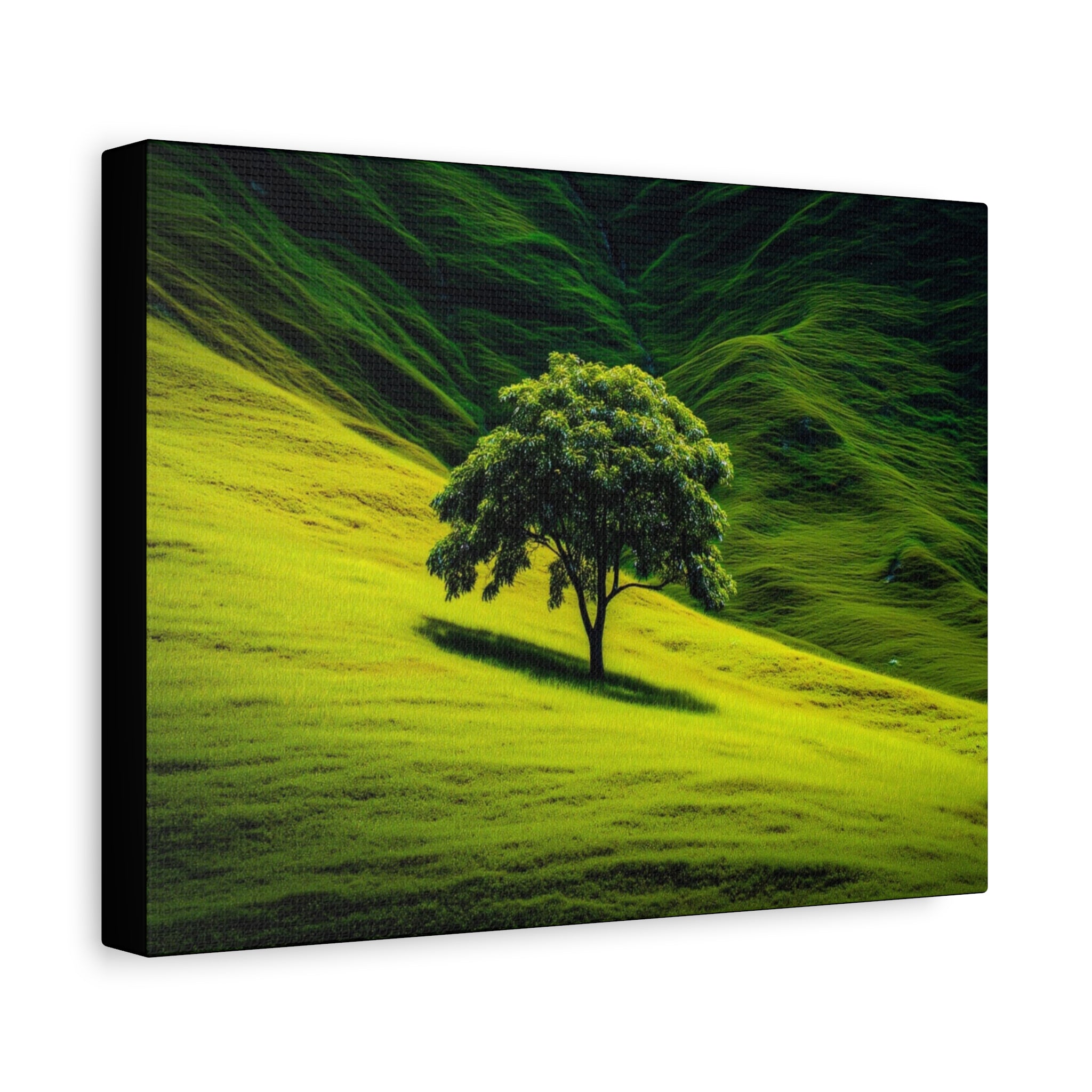 Canvas Lone Tree Landscape  | Matte Stretched Wall Art
