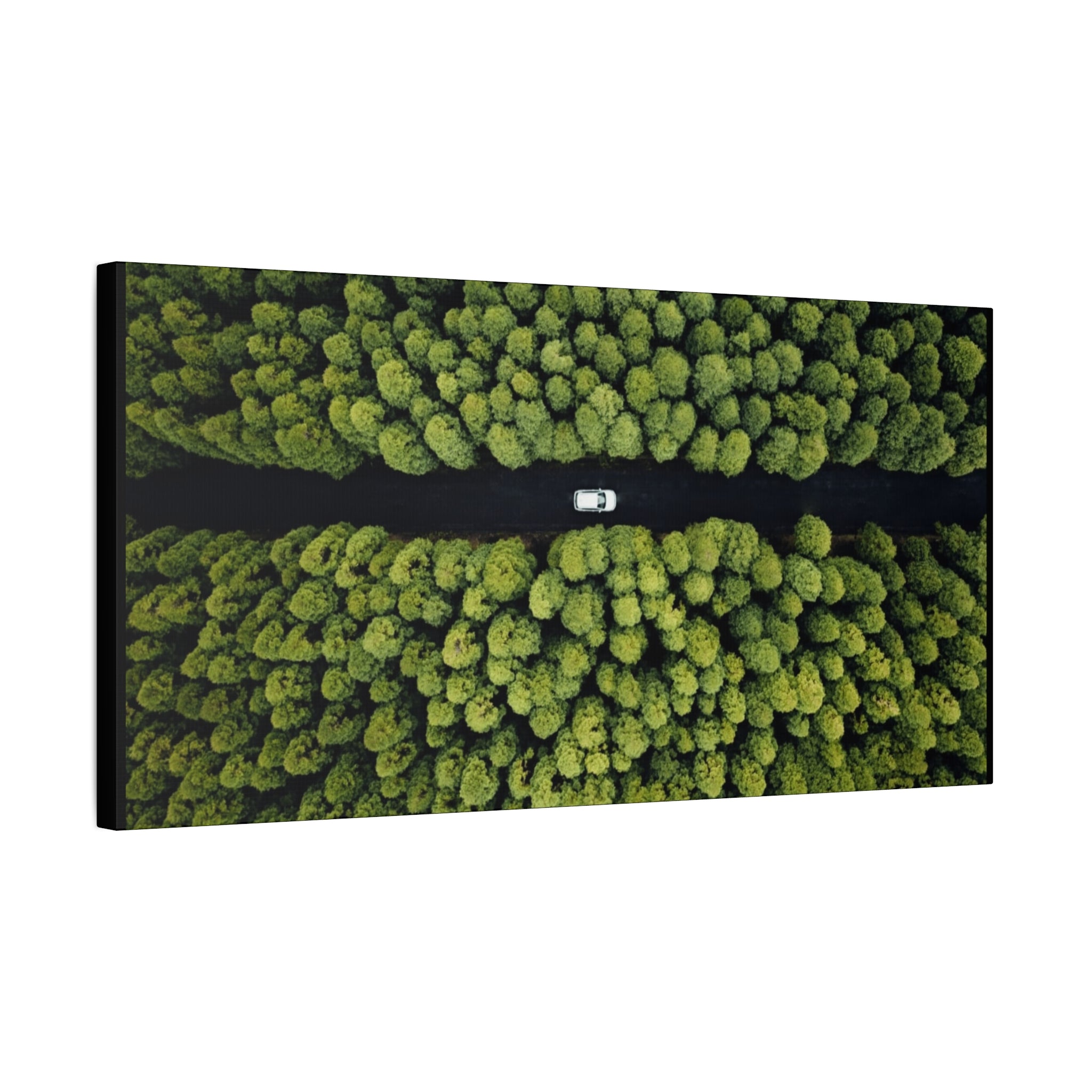 Canvas Aerial Forest Road