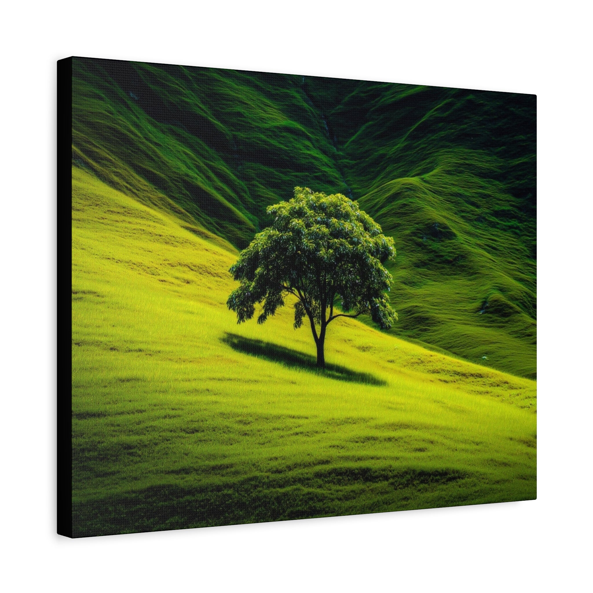 Canvas Lone Tree Landscape  | Matte Stretched Wall Art