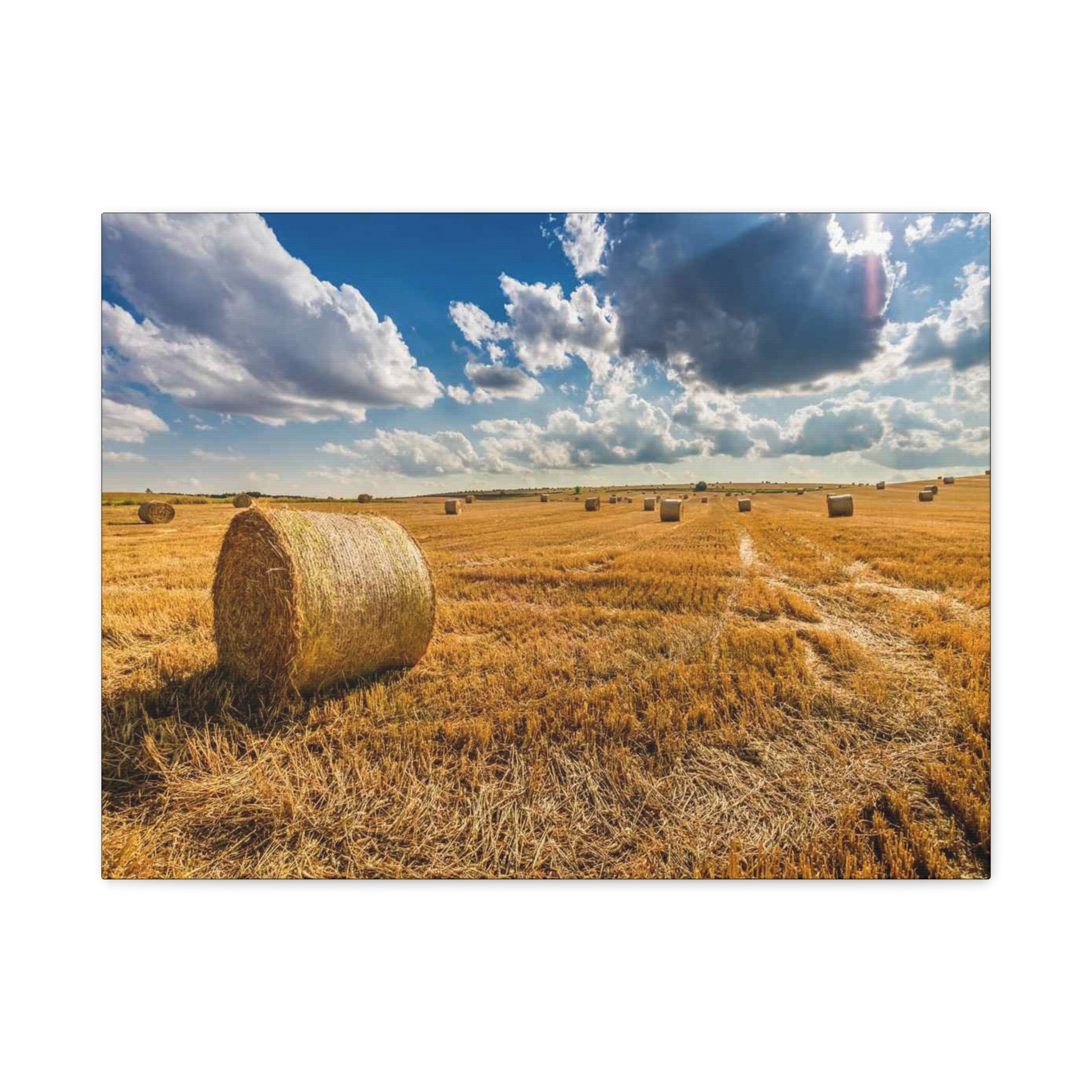 Canvas Hay Bale Field