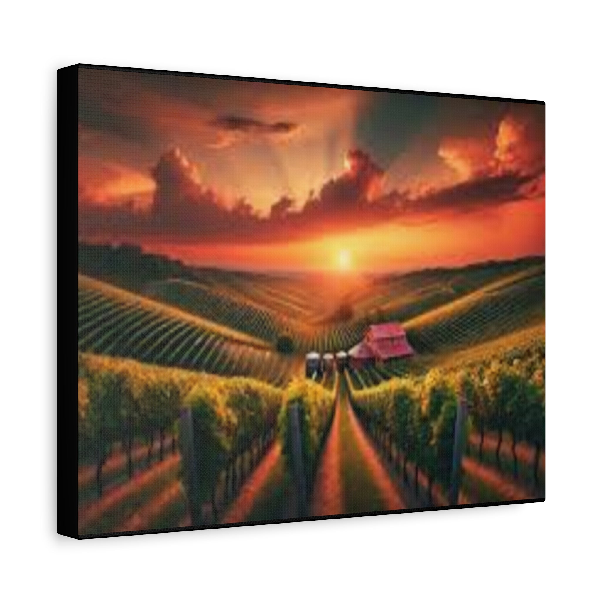 Canvas Sunset Vineyard Landscape Matte