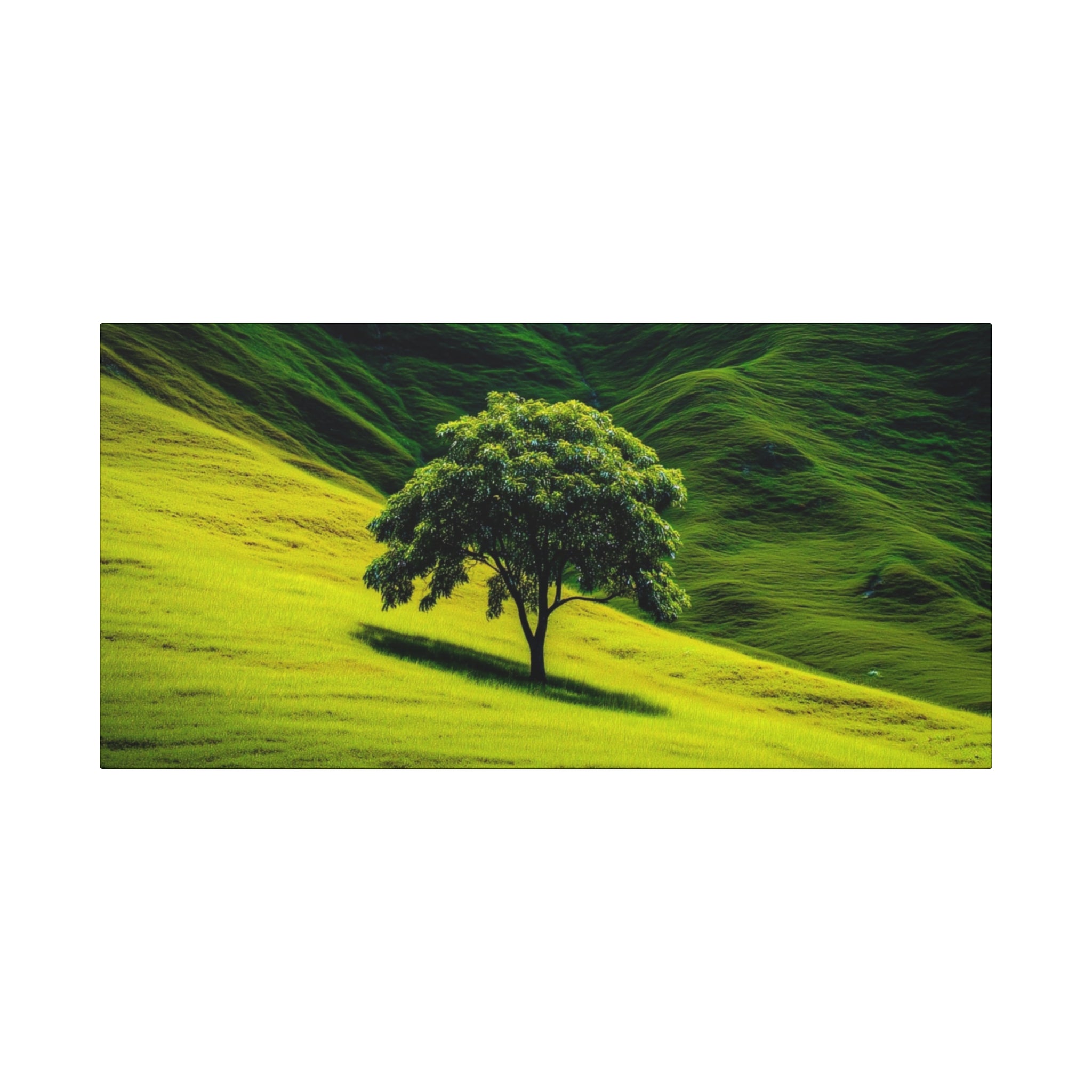 Canvas Lone Tree Landscape  | Matte Stretched Wall Art