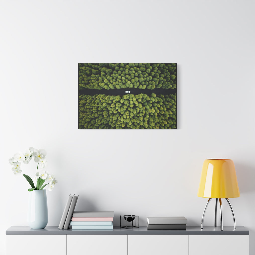 Canvas Aerial Forest Road