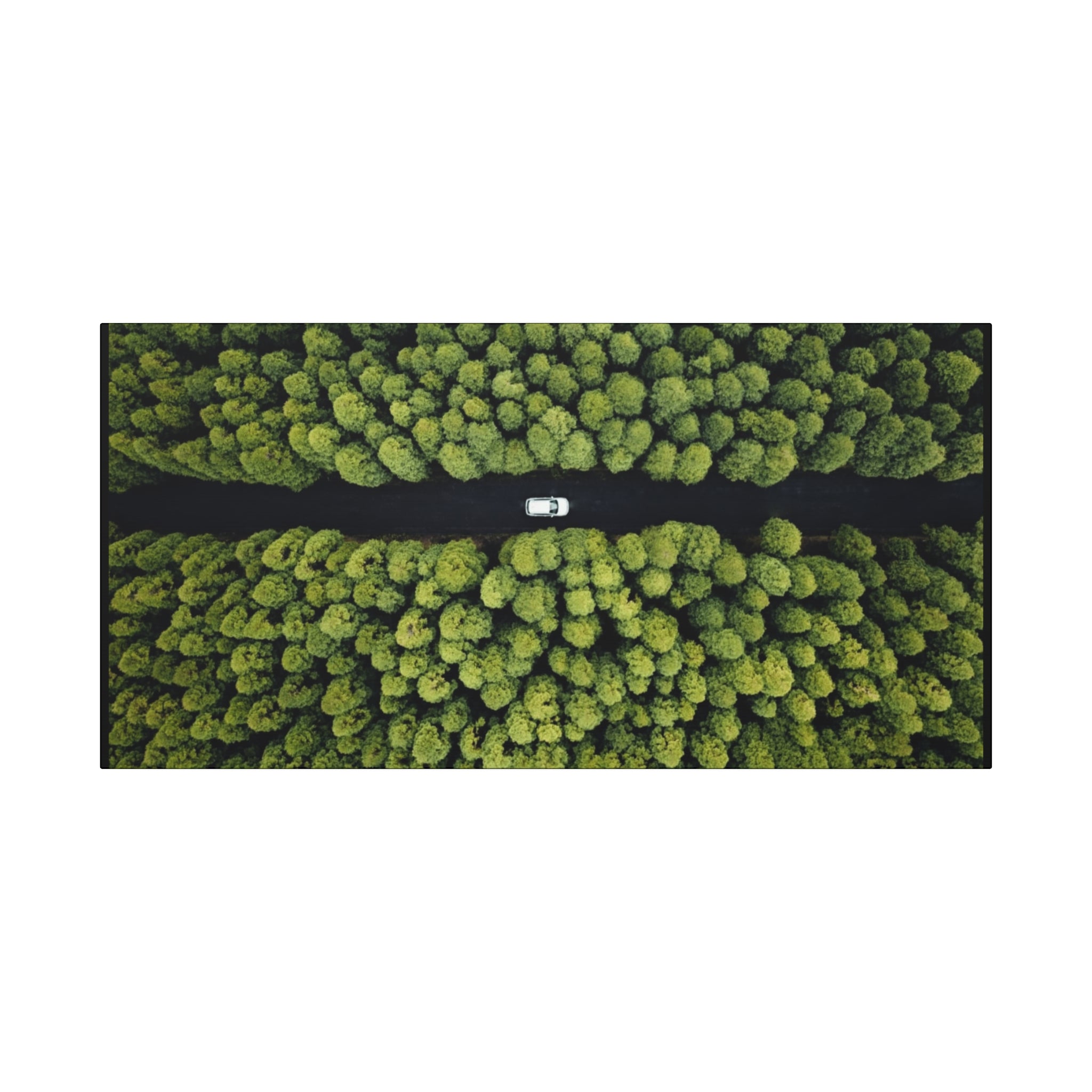 Canvas Aerial Forest Road