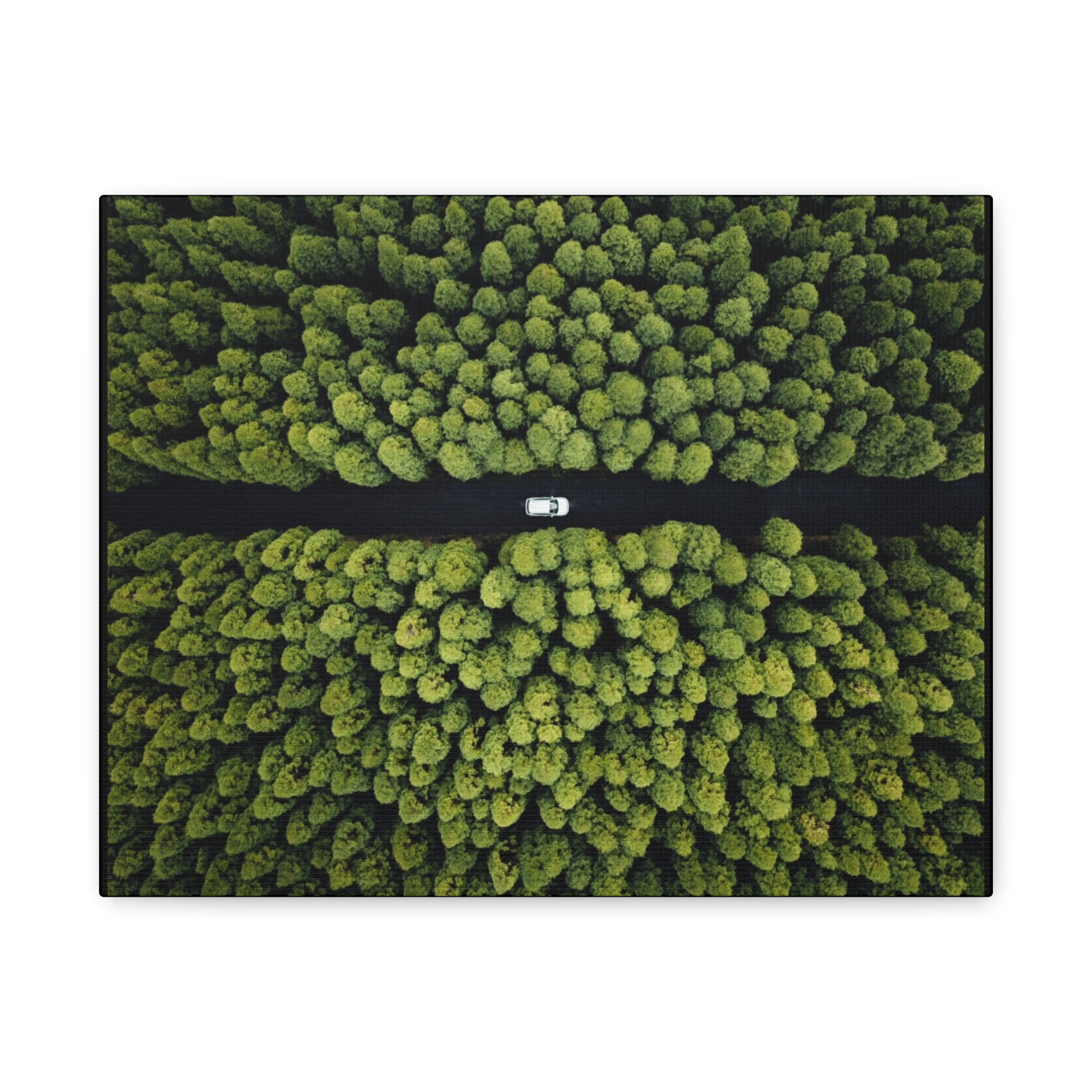 Canvas Aerial Forest Road