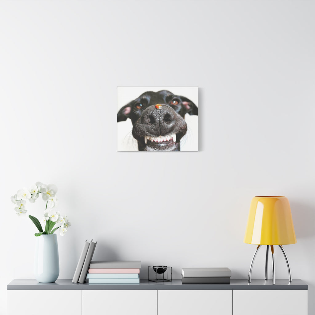 Canvas Smiling Black Dog Nose with Ladybug